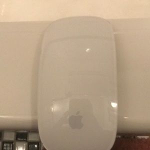 Apple Mouse